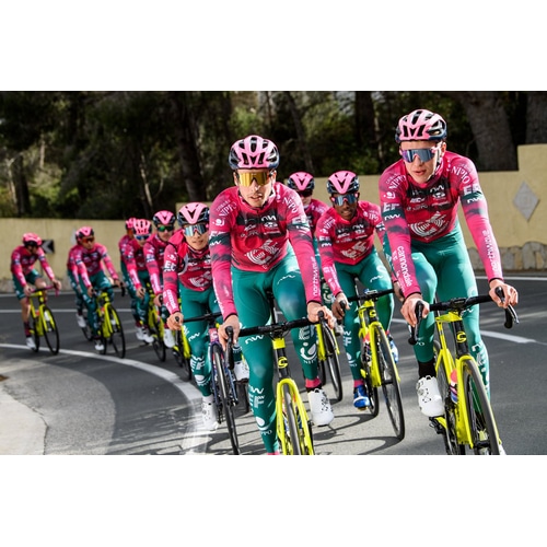 NORTH WAVE ( �m�[�X�E�F�[�u ) �����W���[�W EF DEV REPLICA JSY �s���N/�O���[�� M