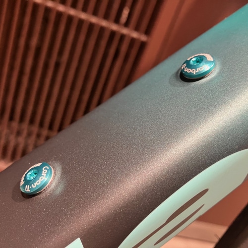 BIANCHI ( rAL ) [hoCN SPECIALISSIMA PRO ( XyVV} v ) ULTEGRA Di2 12SP [ YUB45 ] MW J[{`FXe^bN / `FXe 53 (gڈ170cmO)