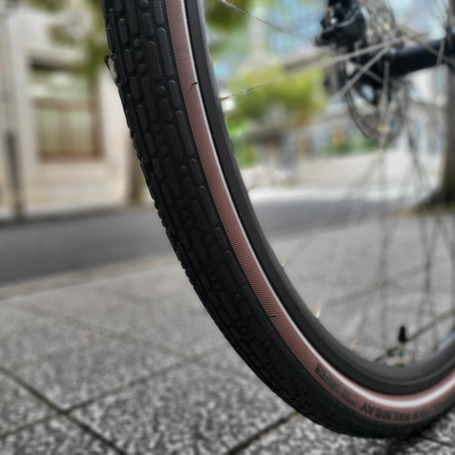 yICpz RALEIGH ( [ ) Ox[h CR-DC Carlton-DC ( J[g DC ) uE/ubN 560 (gڈ185cmO)