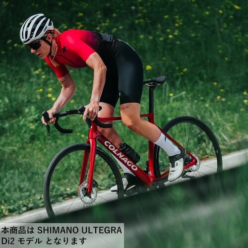 COLNAGO ( RiS ) [hoCN V4 Disc ( uC tH[ fBXN ) ULTEGRA Di2 VDRD ( b\ ) 485S (gڈ165cmO)