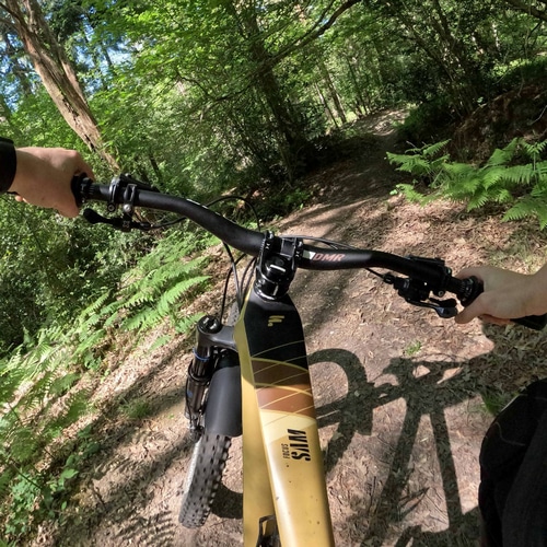 DMR ( ディーエムアール ) マウンテンバイク用ハンドルバー SWEEPER