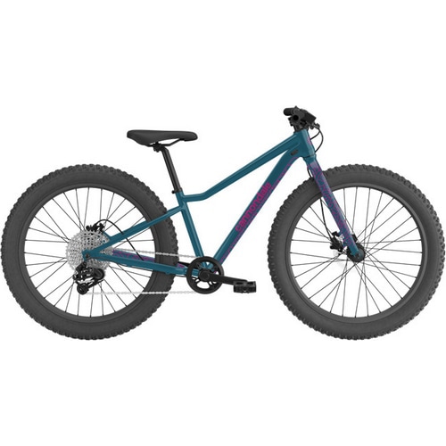 CANNONDALE ( キャノンデール ) キッズバイク KIDS TRAIL PLUS 24
