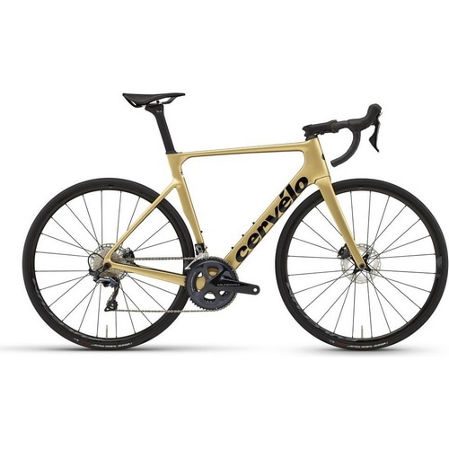 CERVELO ( サーベロ ) ロードバイク SOLOIST ( ソロイスト ) R8020 ULTEGRA ( アルテグラ ) GOLD DUST  ( ゴールドダスト ) 54 ( 適応身長目安 175cm 前後 ) | 自転車・パーツ・ウェア通販 | ワイズロードオンライン