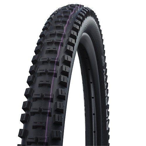 SCHWALBE ( シュワルベ ) チューブレスタイヤ ビッグベティ ブラック