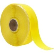 ESI GRIPS ( C[GXAC ObvX ) o[e[v SILICONE TAPE 10FT ROLL ( VRe[v 10FT ROLL ) CG[