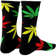 SUPACAZ ( XpJY ) \bNX SUPA SOX ZION BLACK ( UCIubN ) S/M