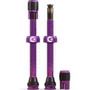 CLIK VALVE ( NbNou ) ouGNXeV TUBELESS VALVE SET ( `[uXouZbg ) p[v 60mm