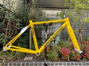 BRIDGESTONE / ANCHOR ( uaXg / AJ[ ) [ht[ RS6 t[Zbg AT][X AEgbg CG[ 460 ( Kg160cmO )