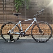 y{كIWiԁz DAVOS ( _{X ) Ox[h D604 V2 lIhi[ AWTCu[ XS/460 (gڈ165cmO)