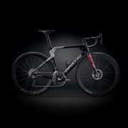 CIPOLLINI ( `|b[j ) [ht[ RB1K AD.ONE ( A[r[P[ Ah ) J[{ AgTCg bh XS (gڈ165cmO)