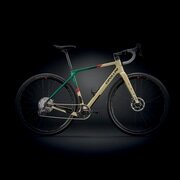 CIPOLLINI ( `|b[j ) Oxt[ AGO ( AS ) Th O[ bh XS (gڈ165cmO)