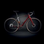 CIPOLLINI ( `|b[j ) Oxt[ AGO ( AS ) bh AgTCg IW XS (gڈ165cmO)