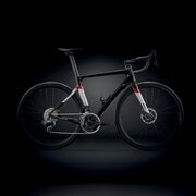 CIPOLLINI ( `|b[j ) [ht[ BOND EVO DISC ( {h GH fBXN ) J[{ Vo[ bh XS (gڈ165cmO)