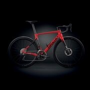 CIPOLLINI ( `|b[j ) [ht[ BOND EVO DISC ( {h GH fBXN ) bh J[{ bh^ XS (gڈ165cmO)