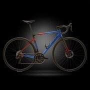 CIPOLLINI ( `|b[j ) [ht[ DOLOMIA ( h~A ) Rogu[ bh J[{ XS (gڈ165cmO)