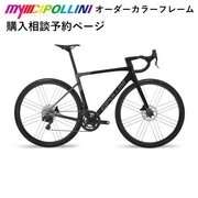 CIPOLLINI ( `|b[j ) [ht[ DOLOMIA ( h~A ) Mycipo I[_[J[ t[ XS (gڈ165cmO)