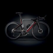 CIPOLLINI ( `|b[j ) gCAXt[ETTt[ NKTT bh J[{ bh^ S (gڈ170cmO)