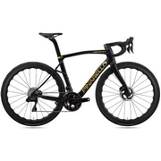 PINARELLO ( si ) [ht[ DOGMA X ( hO} GbNX ) t[Zbg H122 / BLACK GOLD MATT ( ubN S[h }bg ) 43 (Kgڈ155cmO)