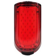 BIANCHI ( rAL ) e[Cg zJX USBRpNgCgCA ubN