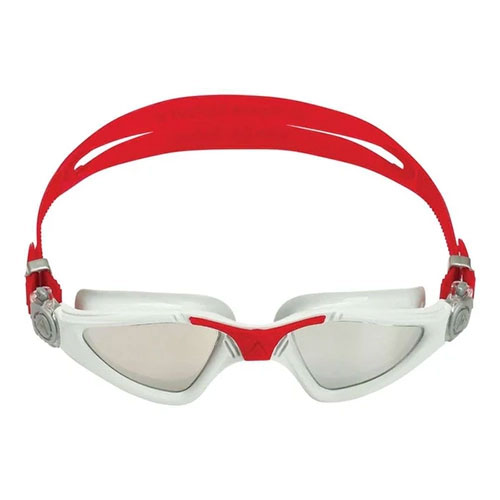 AQUASPHERE ( �A�N�A�X�t�B�A ) �S�[�O�� KAYENNE �O���[/���b�h (�V���o�[�~���[) REGULAR