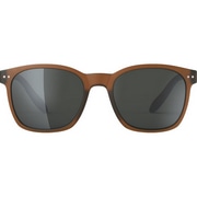 IZIPIZI ( CWsW ) TOX JOURNEY ( W[j[ ) w[[