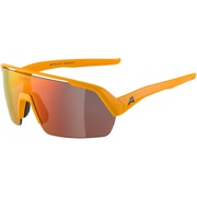 ALPINA ( �A���s�i ) �T���O���X TURBO HR ( �^�[�{ �G�C�`�A�[�� ) �o�[���h�C�G���[�}�b�g