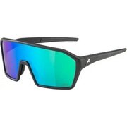 ALPINA ( �A���s�i ) �T���O���X RAM Q-LITE ( ���� �L���[���C�g ) �u���b�N�}�b�g(�O���[��)