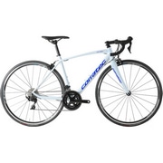 CORRATEC ( RebN ) [hoCN DOLOMITI ( h~e ) SHIMANO 105 R7000 2x11 / WH-RS100 zCg/u[ 42 (gڈ155cmO)