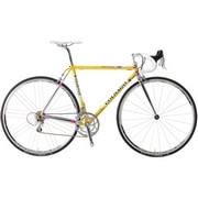 COLNAGO ( コルナゴ ) ロードフレーム MASTER X-LIGHT FRM W/HS.SP ( マスター Xライト フレームセット  W/HS.SP ) AD14 ( イエロー ) 510 ( 適正身長160-165cm前後 ) | 自転車・パーツ・ウェア通販 |  ワイズロードオンライン