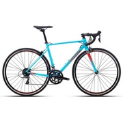 POLYGON ( |S ) [hoCN STRATTOS S2 ( XggX S2 ) Cgu[ S ( gڈ165cmO )