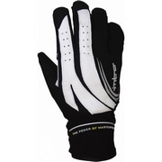 INTRO ( Cg ) EB^[O[u TRIGGER3 ( gK[3 ) Vo[ zCg L