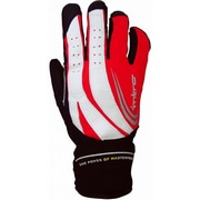 INTRO ( Cg ) EB^[O[u TRIGGER3 ( gK[3 ) bh M