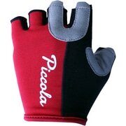 PICCOLA ( sbR ) w؂O[u PC24 TCNOO[u bh L