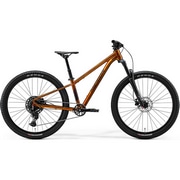 MERIDA ( _ ) LbYoCN MATTS J.CHAMPION ( }bc J.`sI ) Chnj[(ubN) | EY41 34 ( gڈ145cmO )