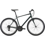 GIANT ( WCAg ) NXoCN GRAVIER ( OrG ) TePvtHXg 430XS (gڈ165cmO)