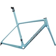 GIANT ( �W���C�A���g ) ���[�h�t���[�� TCR ADVANCED SL Frameset ( TCR �A�h�o���X�h SL �t���[���Z�b�g ) �T�e���O���C�V���[�e�B�[�� XS ( �g���ڈ�165cm�O�� )