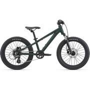 GIANT ( WCAg ) LbYoCN STP 20 ( GXeBs[ 20 ) }bggbLOO[ 260 iKg115-135cmj