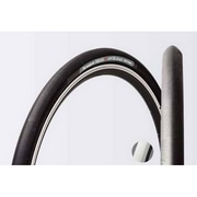 PANARACER ( �p�i���[�T�[ ) �N�����`���[ MINITS S ( �~�j�b�c S ) �z���C�g 20X1-1/8 ( 406 )