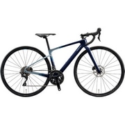 BRIDGESTONE / ANCHOR ( uaXg / AJ[ ) [hoCN RE8 105 ( A[C[8 105 ) I[VlCr[ 450 ( gڈ170cmO )