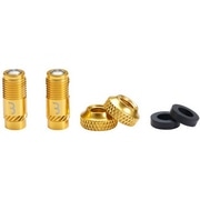 BBB ( �r�[�r�[�r�[ ) �o���u���G�N�X�e���V���� CORECAP VALVE CAPS ( �R�A�L���b�v �o���u�L���b�v ) �S�[���h