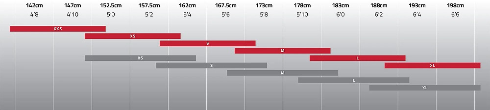 フィット チャート