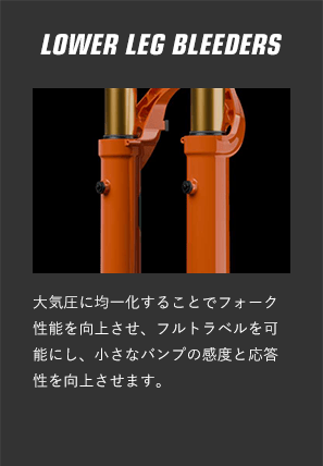 LOWER LEG BLEEDERS
