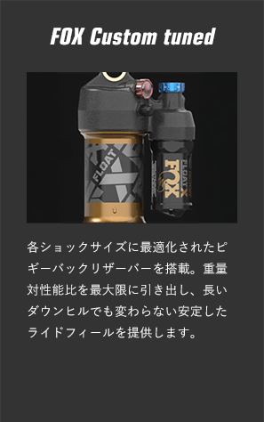 FOX Custom tuned
