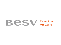 BESV ( ベスビー )ロゴ