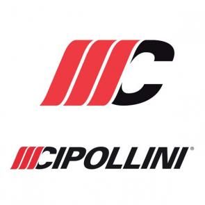 CIPOLLINI ( チポッリーニ )ロゴ