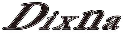 Dixna ( ディズナ )ロゴ