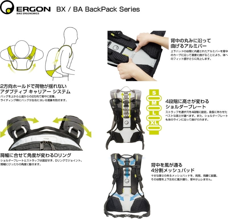 ergon BX2XybN