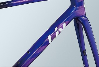 GIANT ( ジャイアント ) ロードフレーム LIV LANGMA ADVANCED SL DISC
