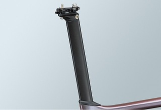 GIANT ( ジャイアント ) ロードフレーム TCR ADVANCED PRO DISC