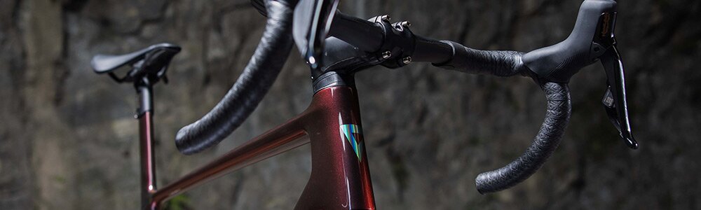 GIANT ( ジャイアント ) ロードフレーム DEFY ADVANCED SL FRAMESET